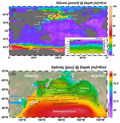 Frontiers | Abrupt fluctuations in North Pacific Intermediate